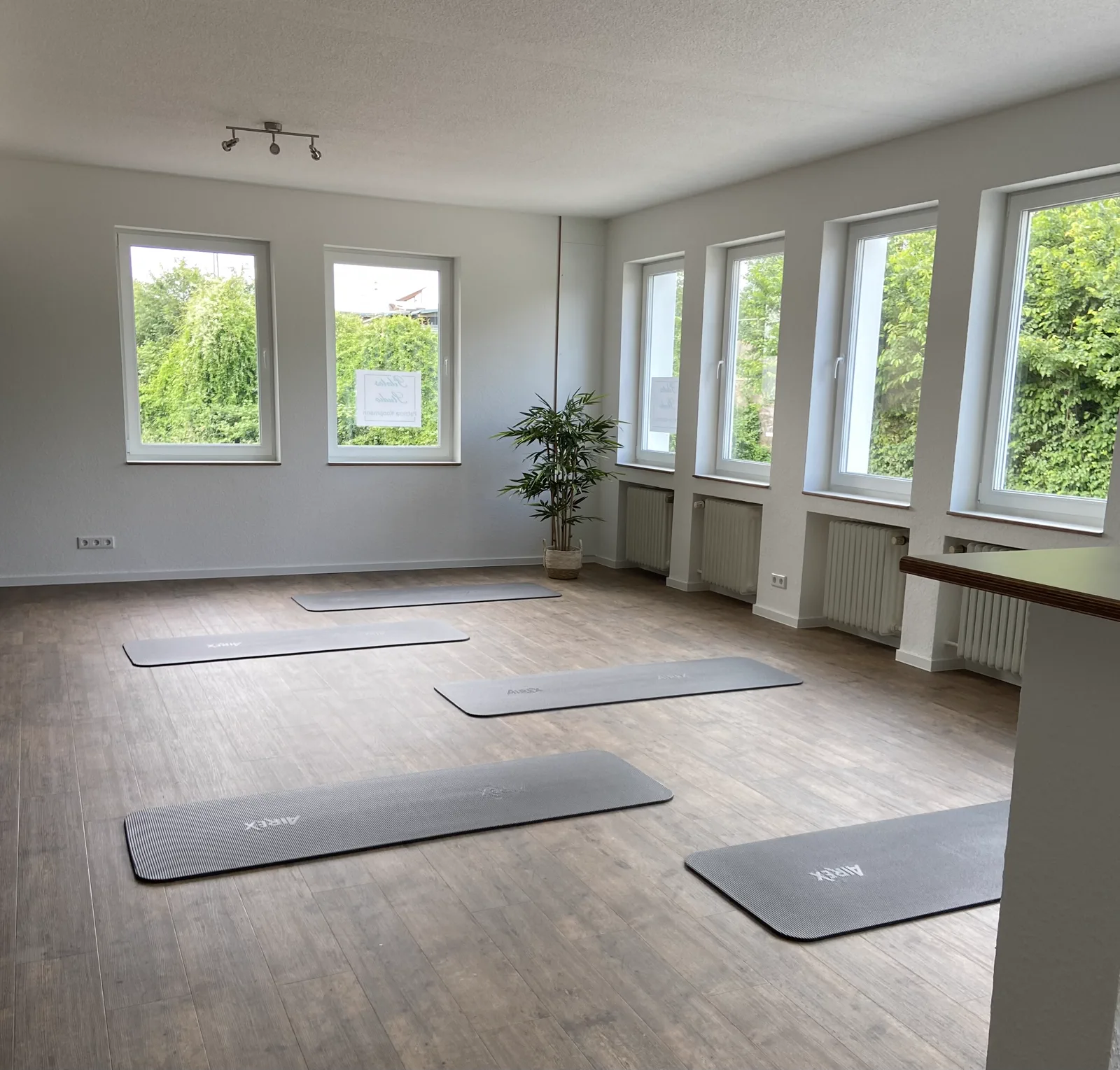 Lichtdurchfluteter Pilates-Studioraum mit großen Fenstern und Matten in Neuss